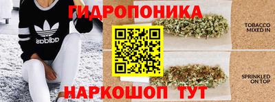 гашишное масло Будённовск