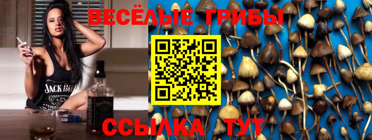 Псилоцибиновые грибы Psilocybine cubensis  Псилоцибиновые грибы GOLDEN TEACHER  Минеральные Воды  Вход с VPN 